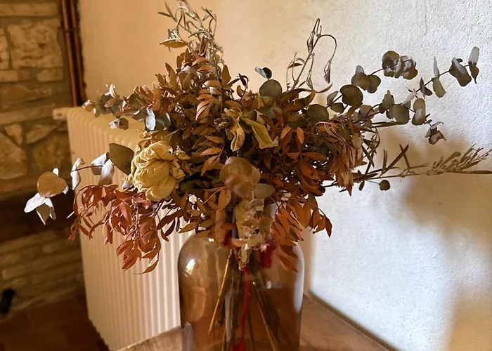 Evasion Totale, Maison De Charme En Pleine Nature *