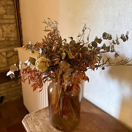 Evasion Totale, Maison De Charme En Pleine Nature *